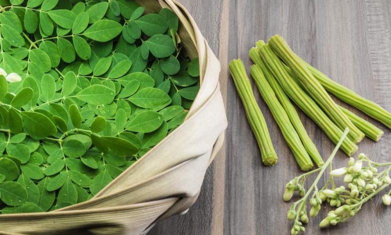 Moringa Leaves