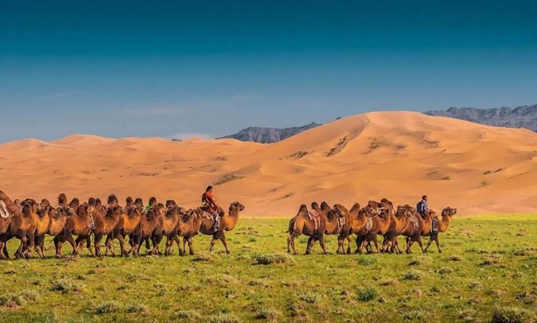 how to travel to Mongolia