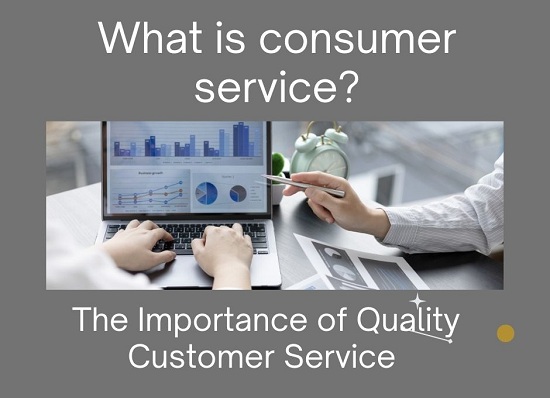 what is consumer service