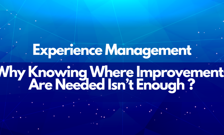 Experience Management