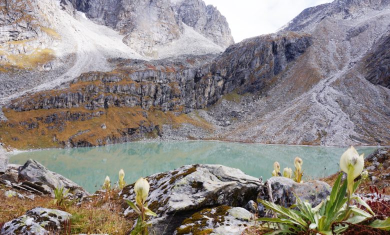 Kagbhusandi Tal - Kankul Pass Trek, Joshimath