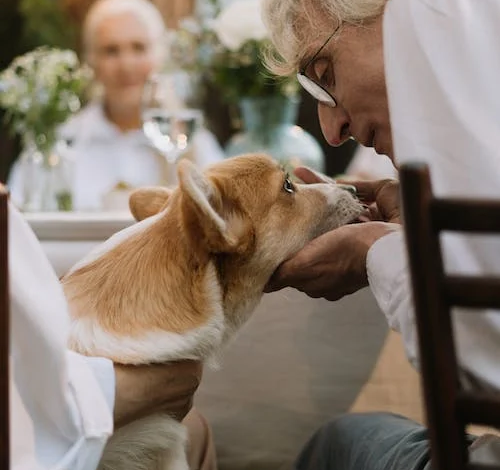 emotional support animal nyc